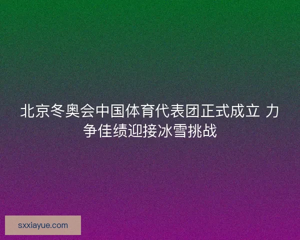北京冬奥会中国体育代表团正式成立 力争佳绩迎接冰雪挑战